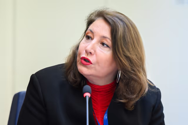 Fotografie 12: Intergroup on Resilience, Disaster management, and Civil protection - Constitutive meeting