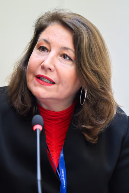 Fotografie 11: Intergroup on Resilience, Disaster management, and Civil protection - Constitutive meeting