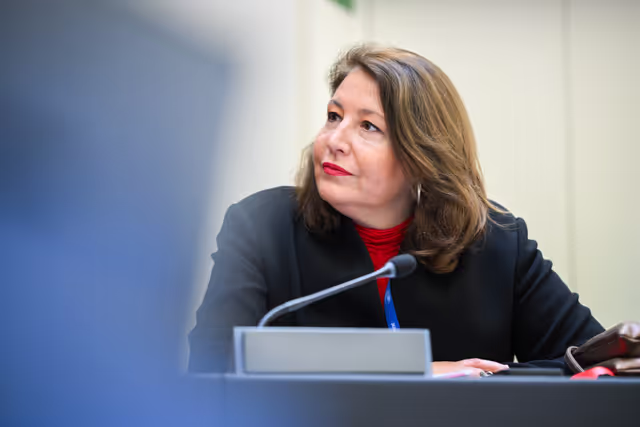 Fotografie 10: Intergroup on Resilience, Disaster management, and Civil protection - Constitutive meeting