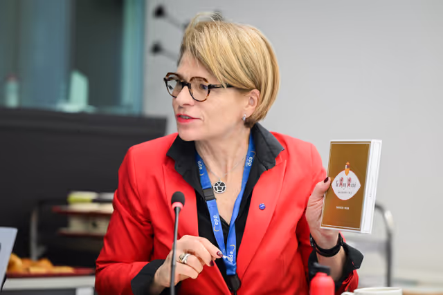 Fotografie 8: Intergroup on Resilience, Disaster management, and Civil protection - Constitutive meeting