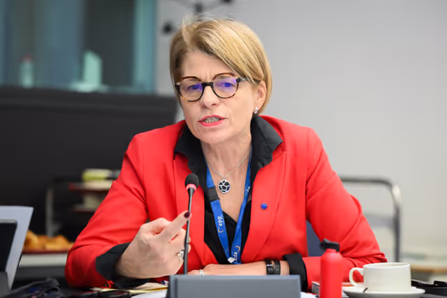 Fotografie 9: Intergroup on Resilience, Disaster management, and Civil protection - Constitutive meeting