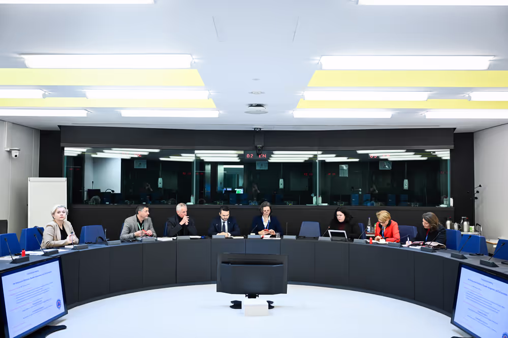 Intergroup on Resilience, Disaster management, and Civil protection - Constitutive meeting