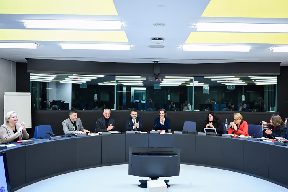 Intergroup on Resilience, Disaster management, and Civil protection - Constitutive meeting