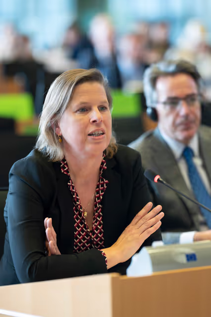 Fotagrafa 15: LIBE  PETI joint Public Hearing ' Border checks and the future of the Schengen area '..