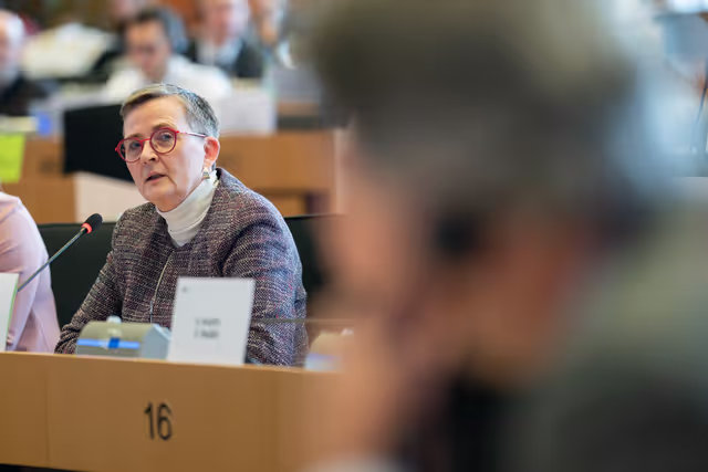 Fotagrafa 28: LIBE  PETI joint Public Hearing ' Border checks and the future of the Schengen area '