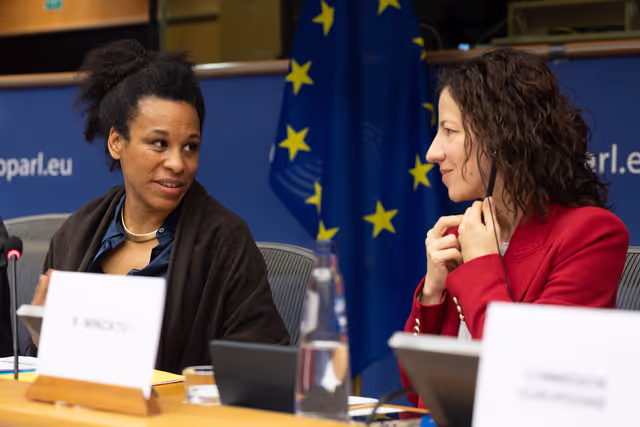 Photo 30: CULT - Structured Dialogue with Executive Vice-President Roxana Mînzatu