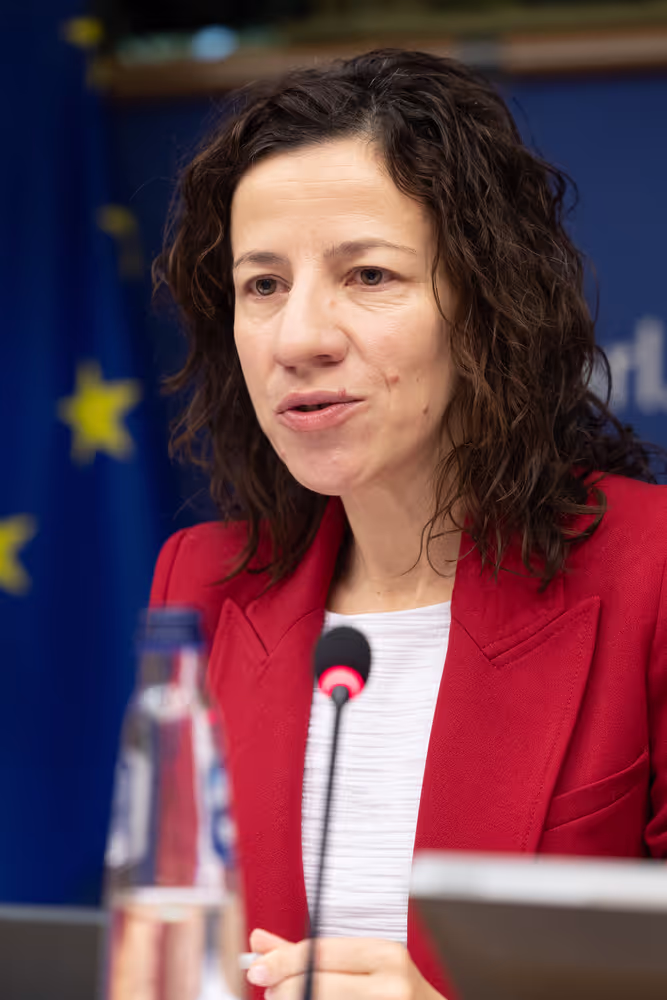 CULT - Structured Dialogue with Executive Vice-President Roxana Mînzatu