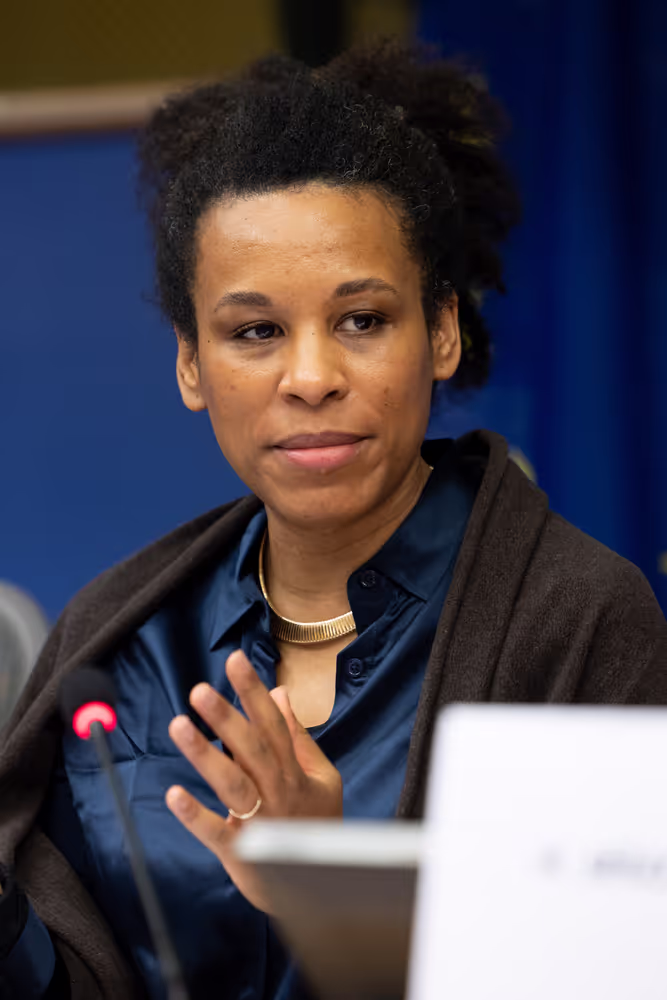 CULT - Structured Dialogue with Executive Vice-President Roxana Mînzatu