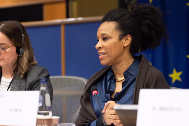 Photo 15: CULT - Structured Dialogue with Executive Vice-President Roxana Mînzatu