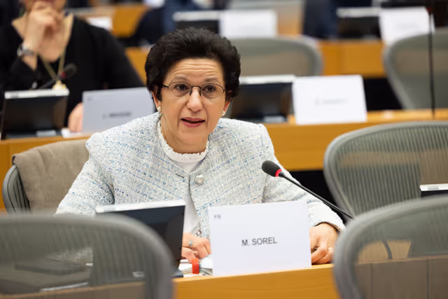 Photo 6: CULT - Structured Dialogue with Executive Vice-President Roxana Mînzatu