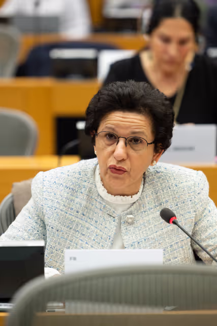 Photo 5: CULT - Structured Dialogue with Executive Vice-President Roxana Mînzatu