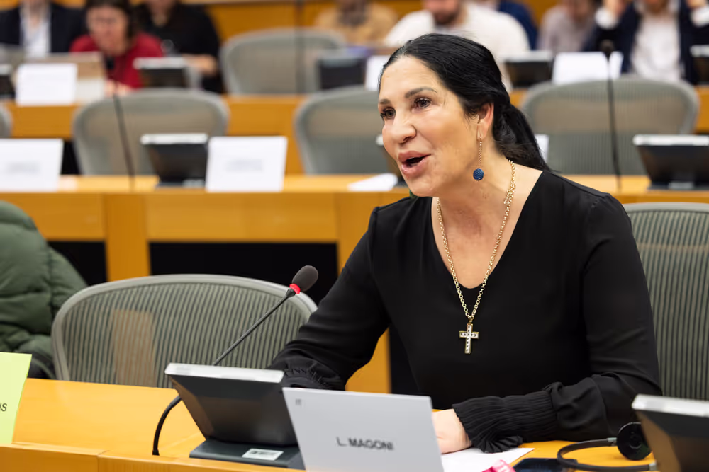 CULT - Structured Dialogue with Executive Vice-President Roxana Mînzatu