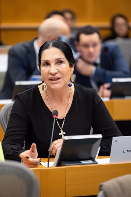 Photo 3: CULT - Structured Dialogue with Executive Vice-President Roxana Mînzatu