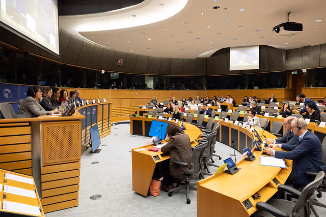 Photo 26: CULT - Structured Dialogue with Executive Vice-President Roxana Mînzatu