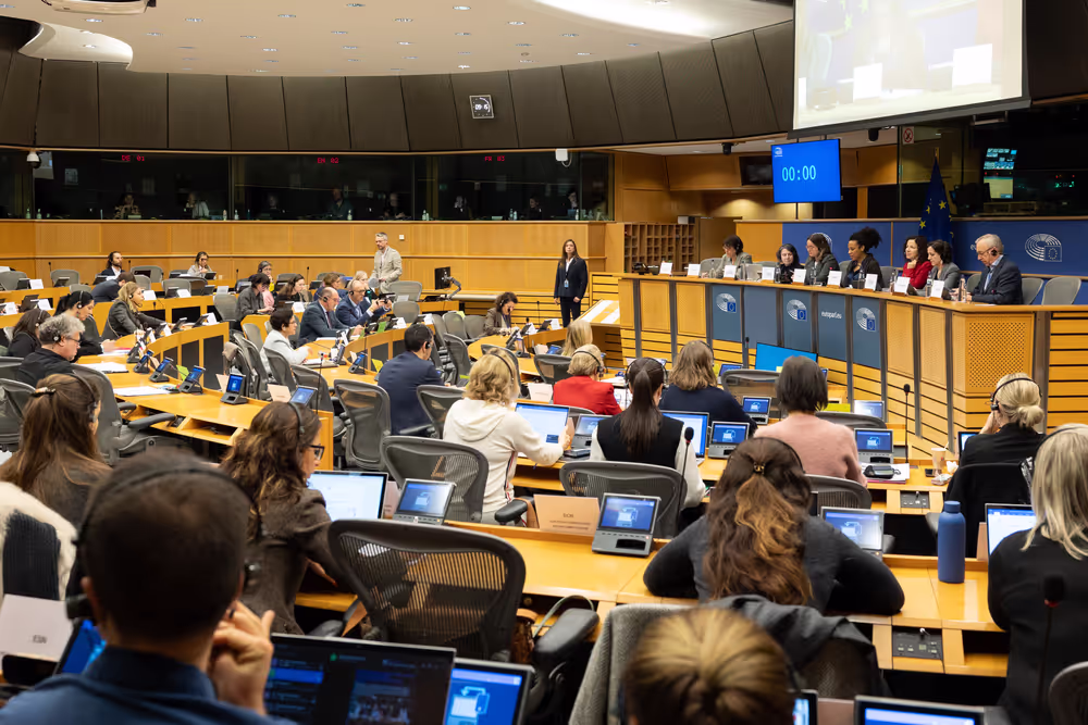 CULT - Structured Dialogue with Executive Vice-President Roxana Mînzatu