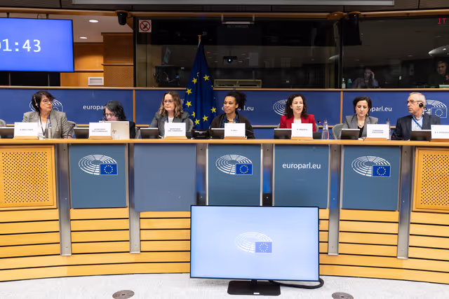 Photo 20: CULT - Structured Dialogue with Executive Vice-President Roxana Mînzatu