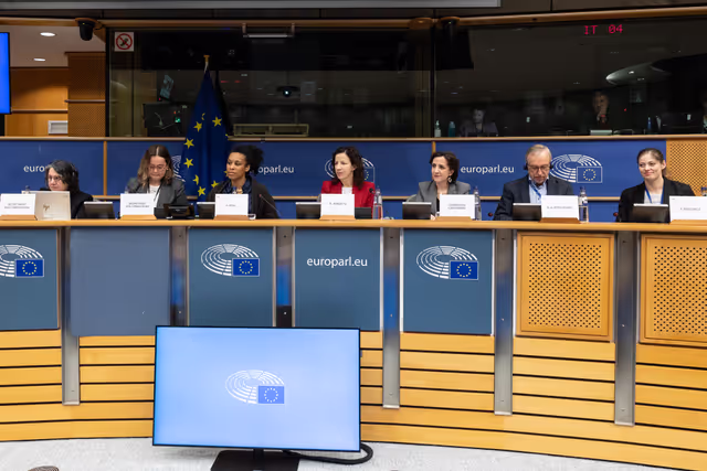 Photo 10: CULT - Structured Dialogue with Executive Vice-President Roxana Mînzatu