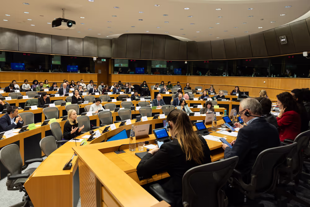 CULT - Structured Dialogue with Executive Vice-President Roxana Mînzatu