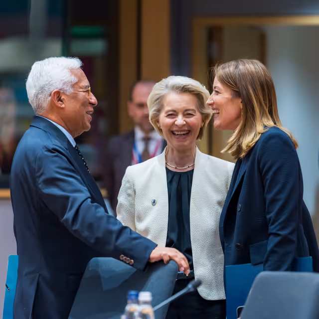 Снимка 8: Special European Council