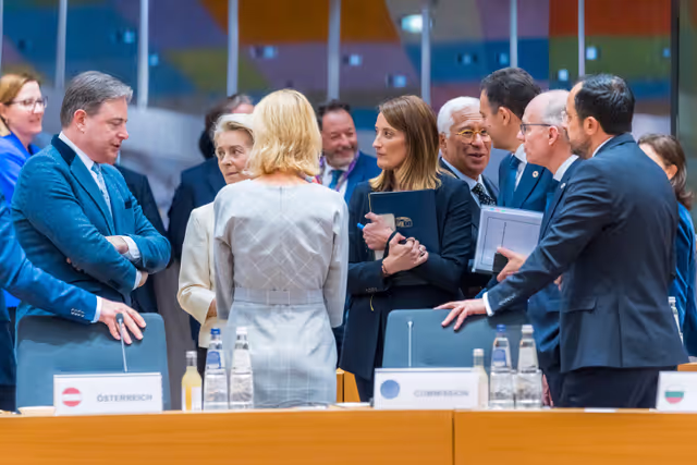 Снимка 5: Special European Council