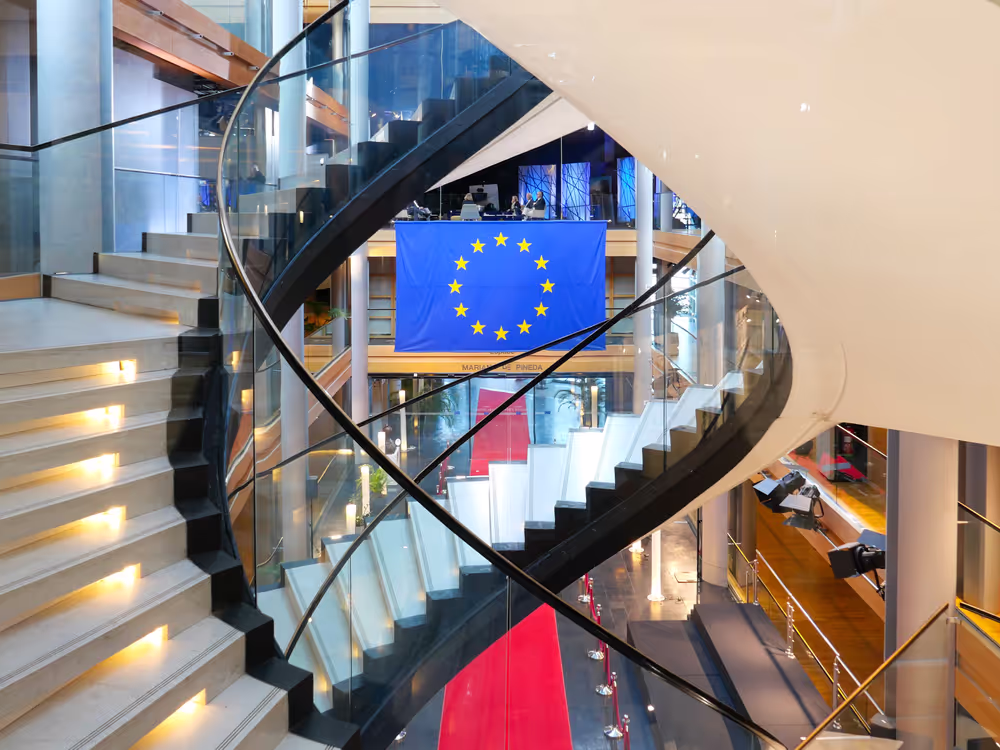 Strasbourg's Plenary session through the lens - Week 14