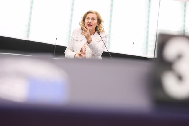 Fotografija 15: EP Plenary session - European Council meetings and European Security