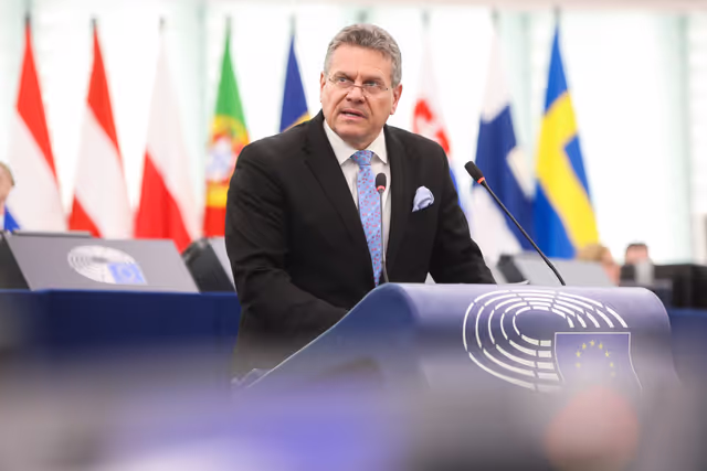 Fotografija 6: EP Plenary session - European Council meetings and European Security