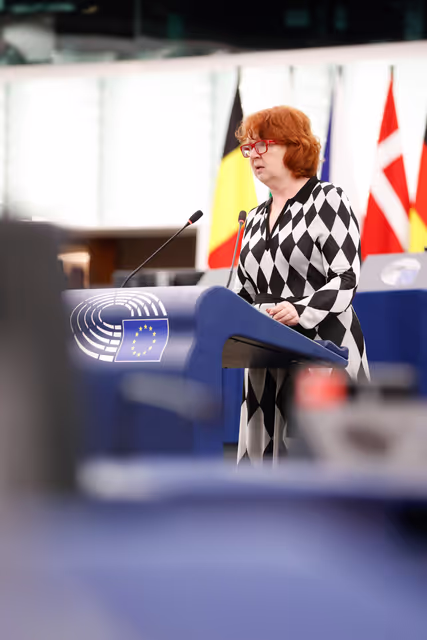 Fotografie 34: EP Plenary session - Social and employment aspects of restructuring processes: the need to protect jobs and workers’ rights
