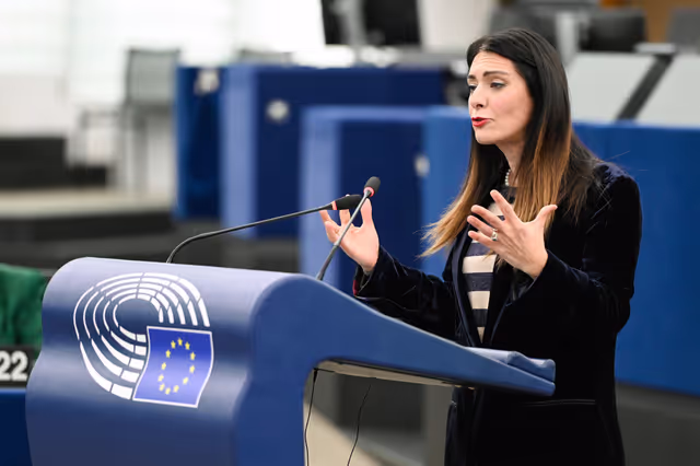 Fotografija 10: EP Plenary session - Frozen Russian assets