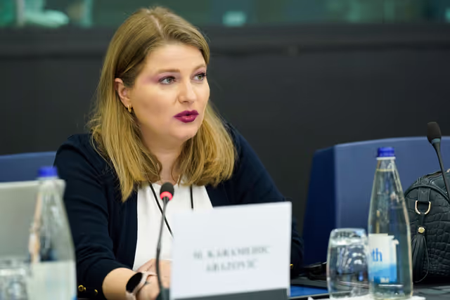 Φωτογραφία 23: 6th EU-Bosnia and Herzegovina Stabilisation and Association Parliamentary Committee meeting .