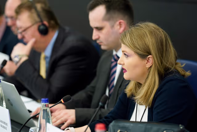 Φωτογραφία 24: 6th EU-Bosnia and Herzegovina Stabilisation and Association Parliamentary Committee meeting .