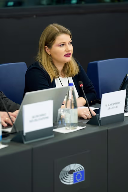 Φωτογραφία 22: 6th EU-Bosnia and Herzegovina Stabilisation and Association Parliamentary Committee meeting .