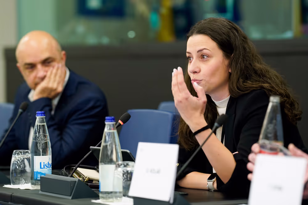 6th EU-Bosnia and Herzegovina Stabilisation and Association Parliamentary Committee meeting .