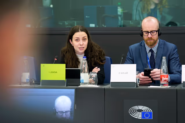 Φωτογραφία 17: 6th EU-Bosnia and Herzegovina Stabilisation and Association Parliamentary Committee meeting .