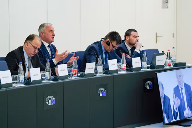 Φωτογραφία 1: 6th EU-Bosnia and Herzegovina Stabilisation and Association Parliamentary Committee meeting .