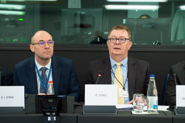 Φωτογραφία 26: 6th EU-Bosnia and Herzegovina Stabilisation and Association Parliamentary Committee meeting .