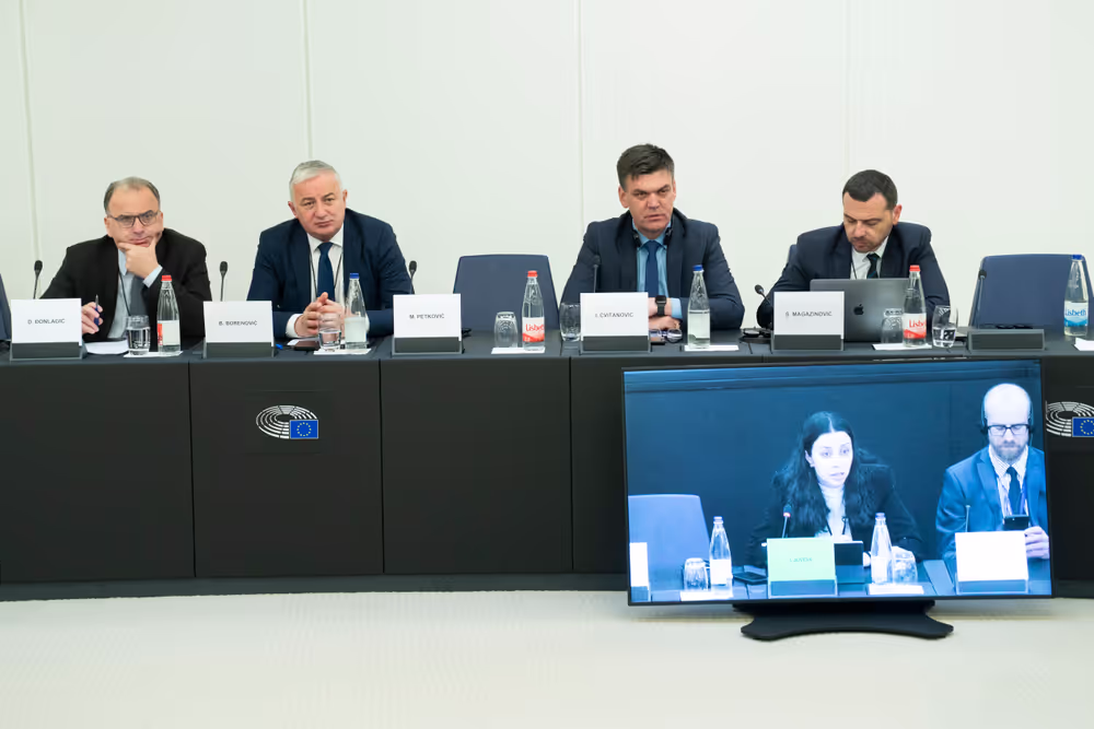 6th EU-Bosnia and Herzegovina Stabilisation and Association Parliamentary Committee meeting .