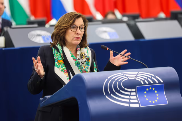 Photo 49: EP Plenary session - A Vision for Agriculture and Food