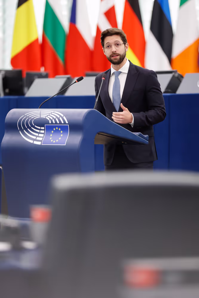 EP Plenary session - Action Plan for Affordable Energy