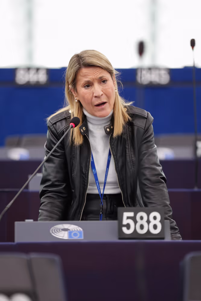 EP Plenary session - Action Plan for Affordable Energy