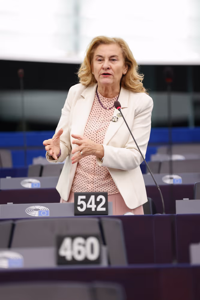 EP Plenary session - Action Plan for Affordable Energy