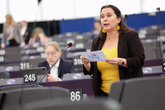 Fotografia 3: EP Plenary session - Action Plan for Affordable Energy