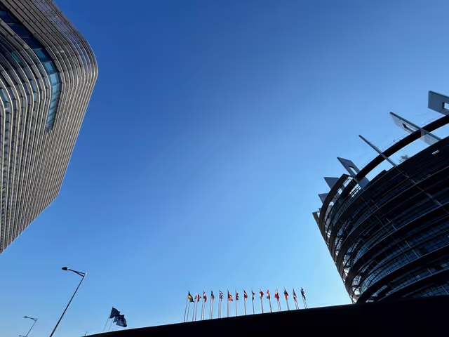 Foto 1: Strasbourg's Plenary session through the lens - Week 14