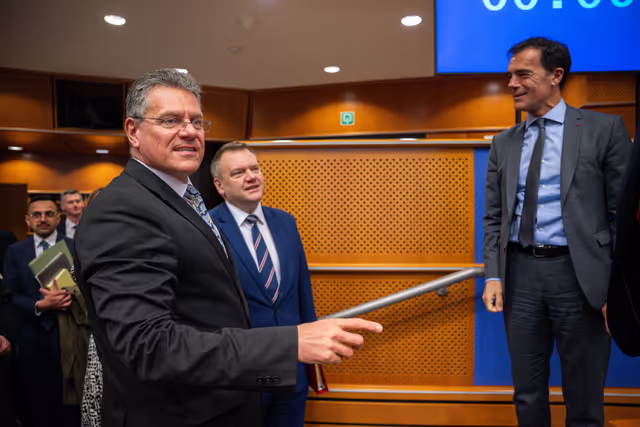 Foto 41: 5th EU-UK Parliamentary Partnership Assembly