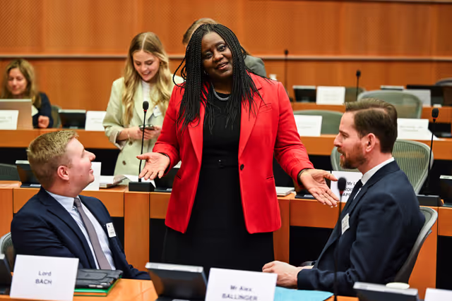 Foto 39: 5th EU-UK Parliamentary Partnership Assembly