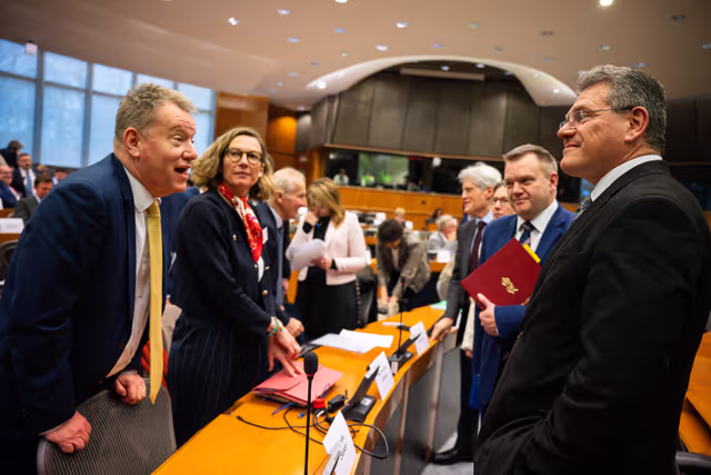 Foto 38: 5th EU-UK Parliamentary Partnership Assembly