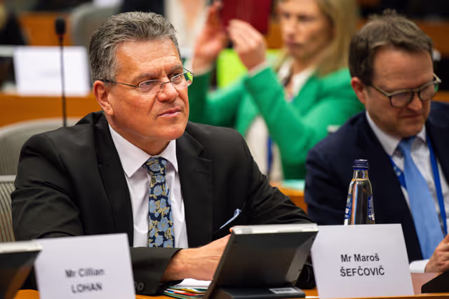 Foto 35: 5th EU-UK Parliamentary Partnership Assembly