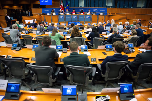 Foto 31: 5th EU-UK Parliamentary Partnership Assembly