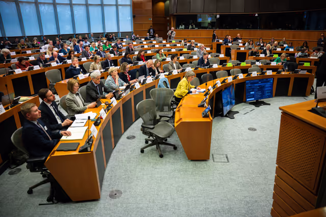 Foto 17: 5th EU-UK Parliamentary Partnership Assembly