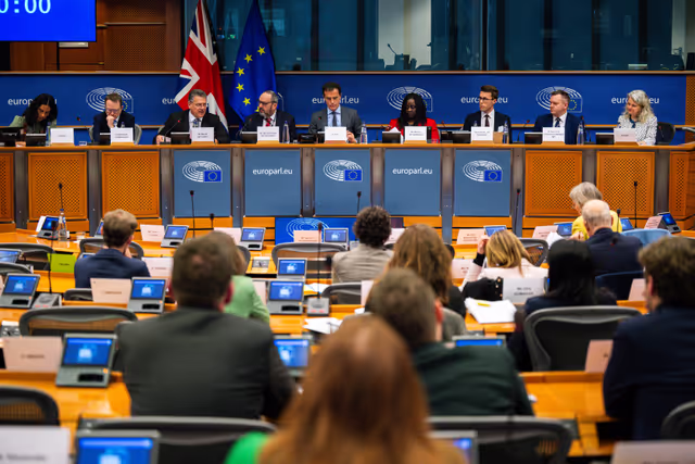 Foto 14: 5th EU-UK Parliamentary Partnership Assembly